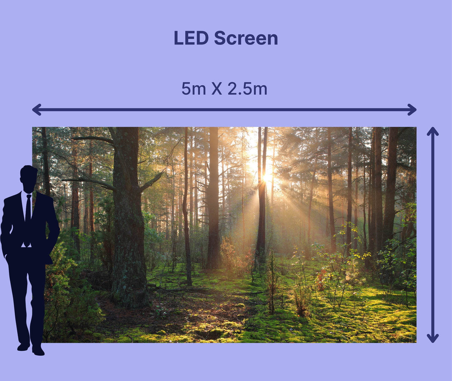 LED Screen 5m X 2.5m = 220"