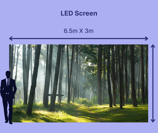 LED Screen 6.5m X 3m = 273"